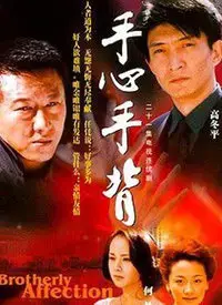 《手心手背》：亲情与选择，一场关于人生的温情旅程