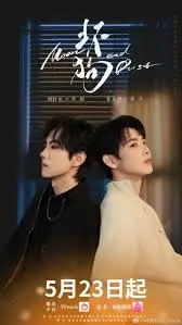 《坏狗》：忠诚与冒险的旅程，一场触动人心的心灵救赎