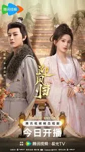 《迎凤归》：一场关于承诺与守护的动人情感之旅