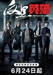 《反黑英雄(国语)》：正邪交锋，热血港片再燃荧屏！